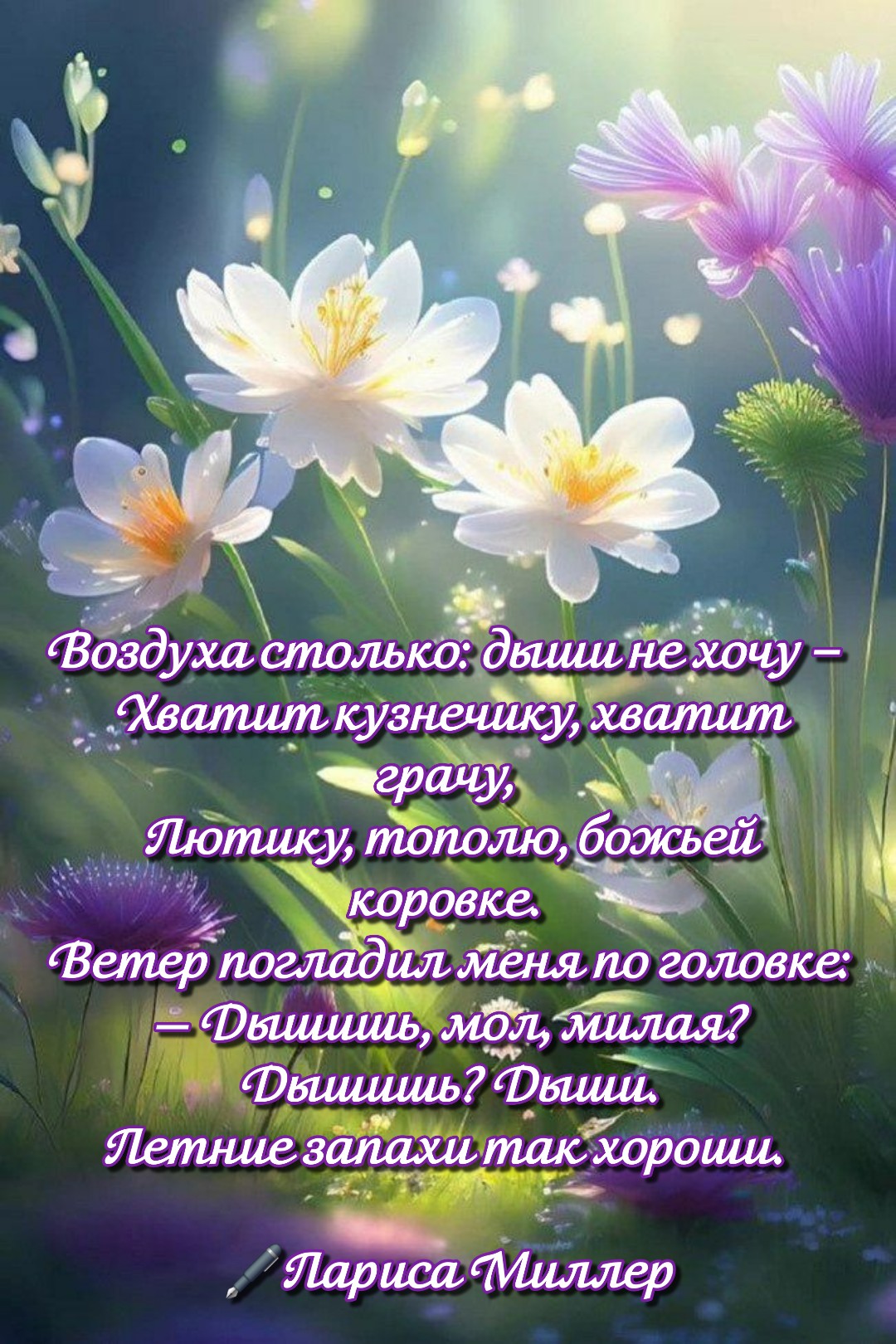 Открытка Воздуха столько: дыши не хочу – Хватит кузнечику, хватит грачу, Лютику, тополю божьей коровке.
