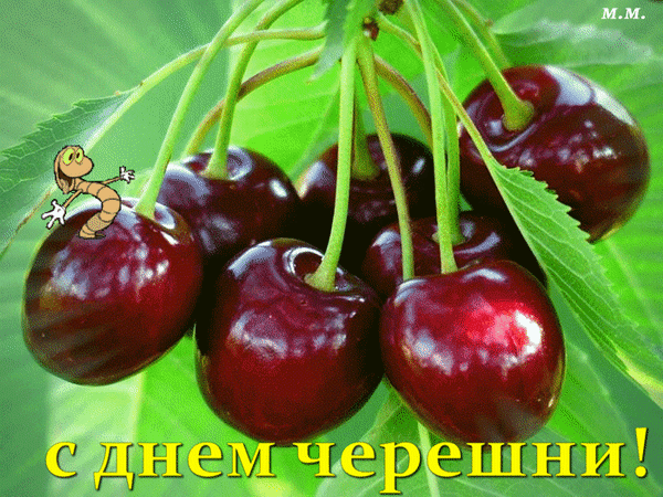Анимированная открытка с днем черешни