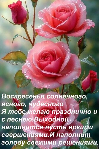 Открытка Воскресенья солнечного, ясного, чудесного Я тебе желаю празднично и с песнею. Выходной наполнится пу