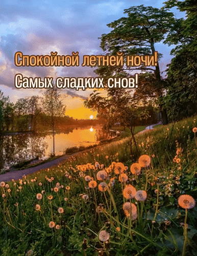 Анимированная открытка Спокойной летней ночи! Самых сладких снов!
