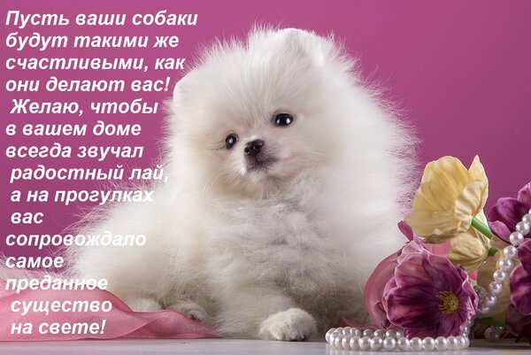 Открытка . Пусть ваши собаки будут такими же счастливыми, как они делают вас! Желаю, чтобы в вашем доме все
