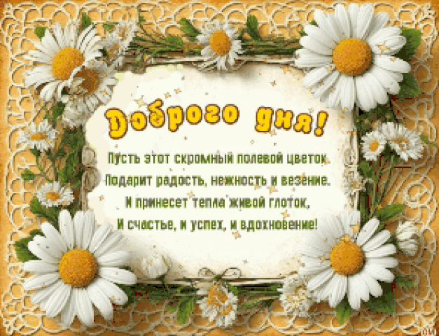 Анимированная открытка хд35