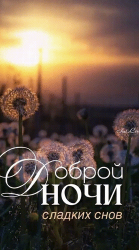 Анимированная открытка Доброй ночи. Сладких снов.