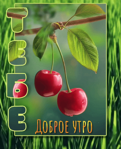 Анимированная открытка Тебе. Доброе утро.