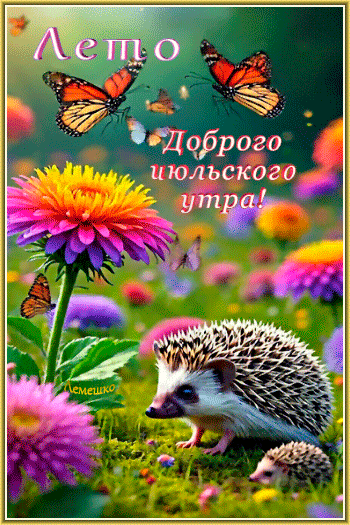 Анимированная открытка Лето-Июль Доброго июльского утра!
