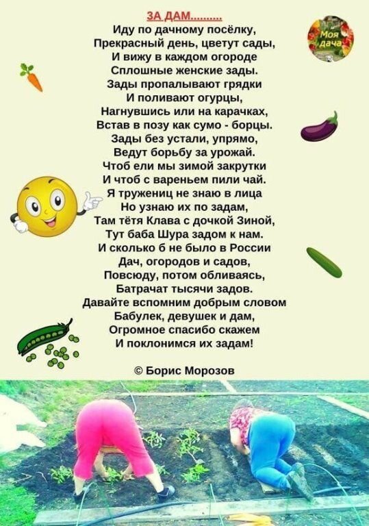 Открытка За дам