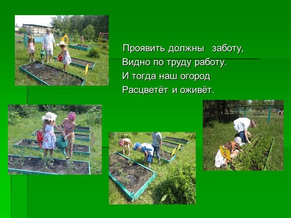 Открытка Проявить должны заботу