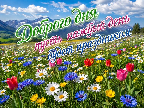 Открытка Доброго дня