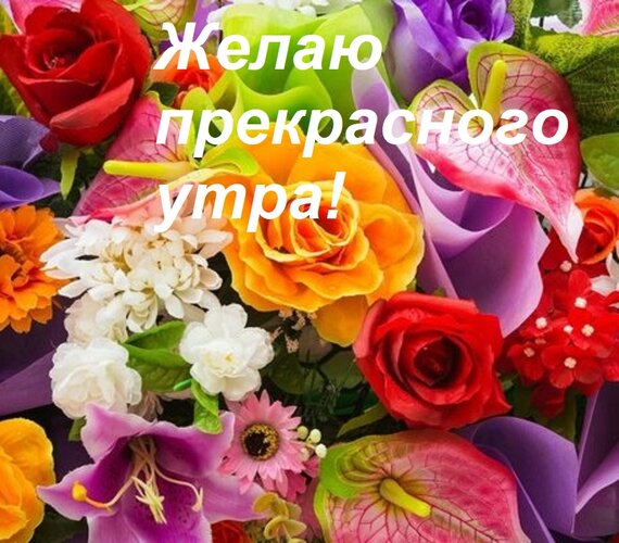 Открытка Желаю прекрасного утра!