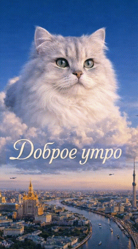 Анимированная открытка Доброе утро