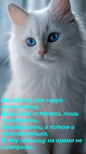 Открытка Выходные уже скоро постучатся, День один осталось лишь преодолеть, Отработать, а потом и расслаблять