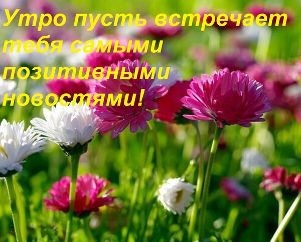 Открытка Утро пусть встречает тебя самыми позитивными новостями!