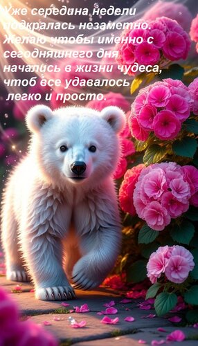 Открытка Уже середина недели подкралась незаметно. Желаю чтобы именно с сегодняшнего дня начались в жизни ч