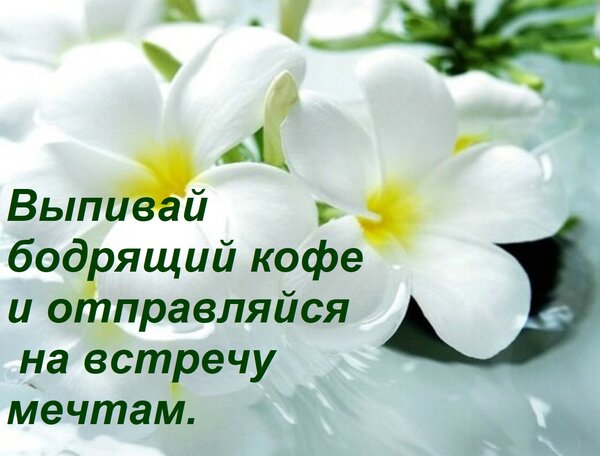 Открытка Выпивай бодрящий кофе и отправляйся на встречу мечтам.