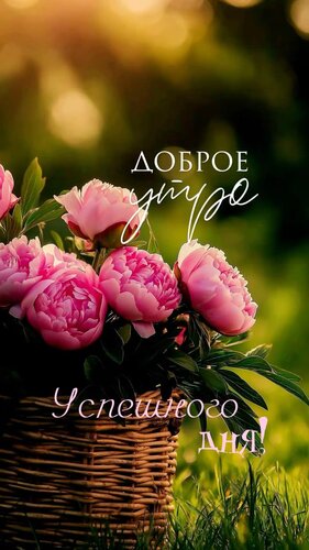 Открытка Доброе утро. Успешного дня
