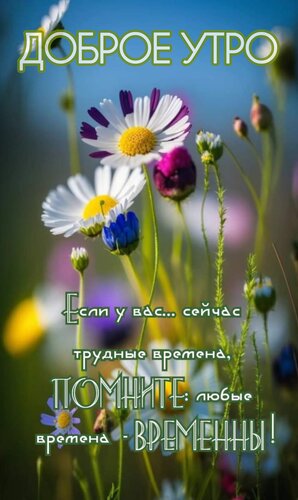 Открытка Доброе утро