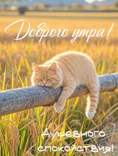 dobrogo-utra-dushevnogo-spokojstviya.jpg?z=184