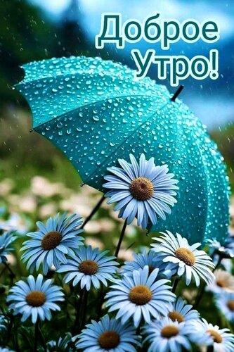 Открытка Доброе утро