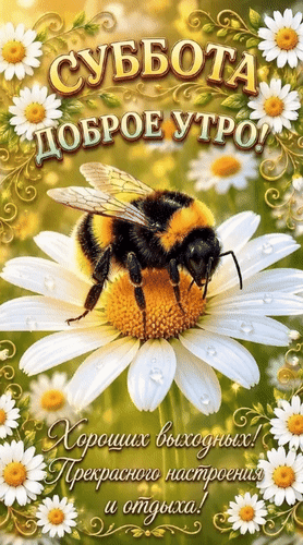 Анимированная открытка Суббота. Доброе утро! Хороших выходных! Прекрасного настроения и отдыха!