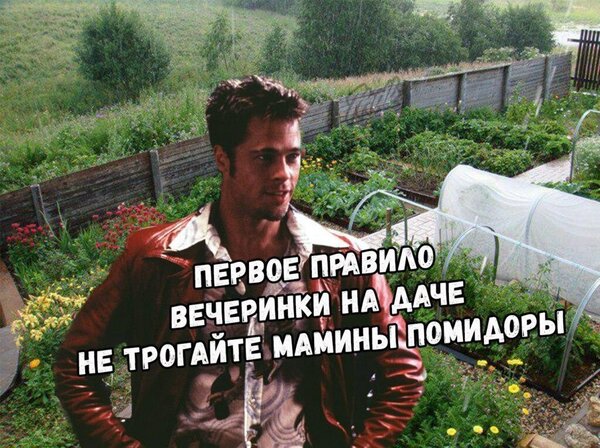 Открытка не трогать