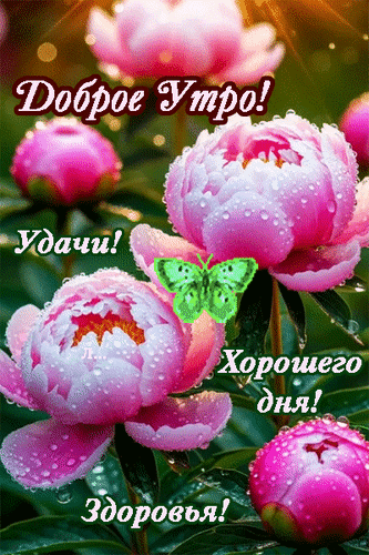 Анимированная открытка Доброе утро! Удачи! Хорошего дня! Здоровья!