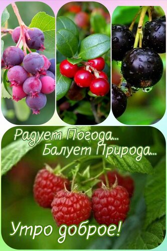 Открытка Доброе утро