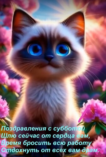 Открытка Поздравления с субботой Шлю сейчас от сердца вам, Время бросить всю работу Отдохнуть от всех вам дра
