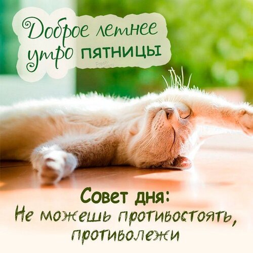 Открытка Доброе утро пятницы