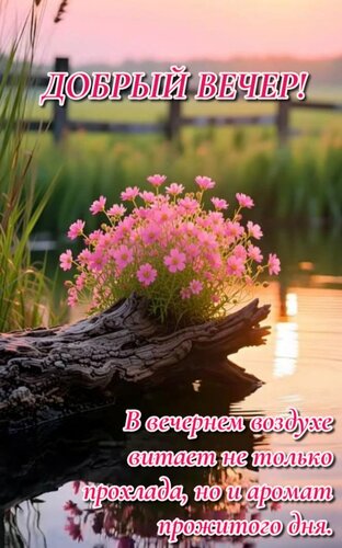 Открытка В вечернем воздухе витает не только прохлада, но и аромат прожитого дня.