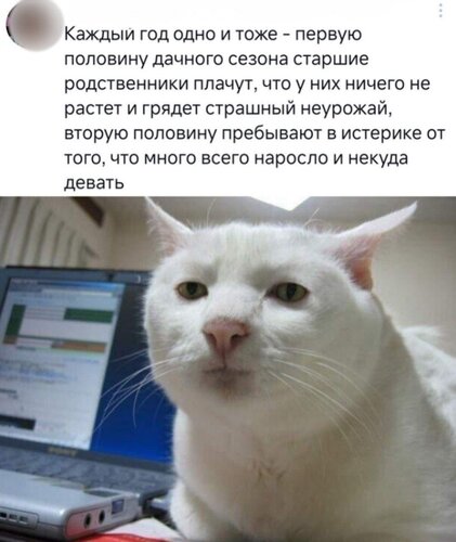 Открытка сначала плачут потом истерика