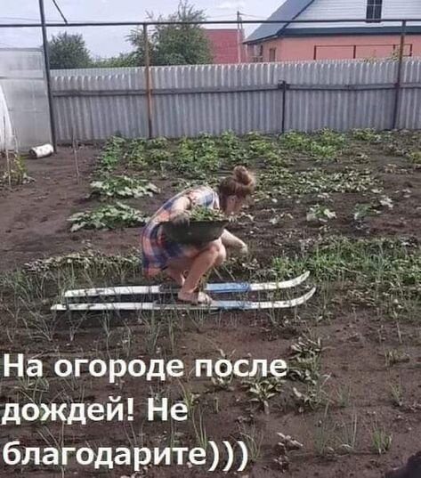 Открытка на огороде после дождей