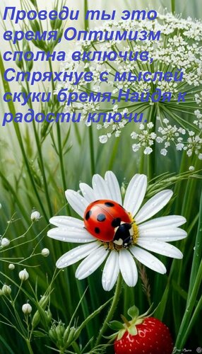 Открытка Проведи ты это время, Оптимизм сполна включив, Стряхнув с мыслей скуки бремя, Найдя к радости ключи.
