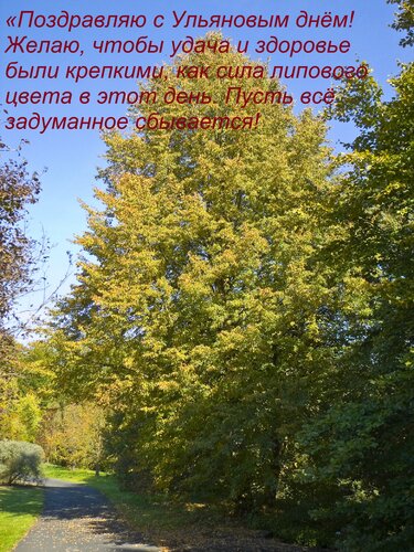 Открытка «Поздравляю с Ульяновым днём! Желаю, чтобы удача и здоровье были крепкими, как сила липового цвета в