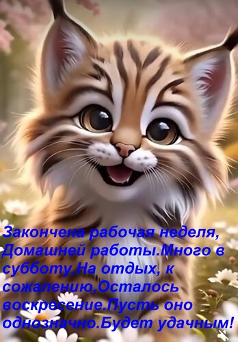 Открытка Будние дни пролетели, Закончена рабочая неделя, Домашней работы Много в субботу, На отдых, к сожален