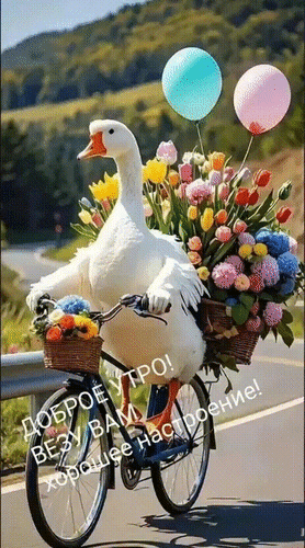 Анимированная открытка Доброе утро! Везу вам хорошее настроение!