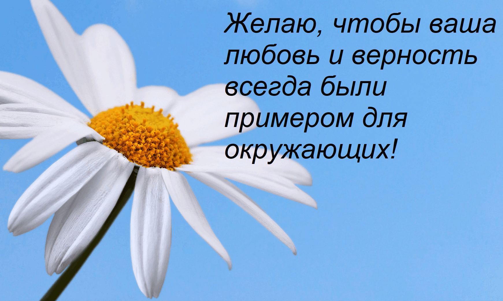 Открытка Желаю, чтобы ваша любовь и верность всегда были примером для окружающих!