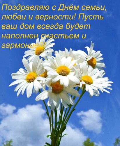 Открытка Поздравляю с Днём семьи, любви и верности! Пусть ваш дом всегда будет наполнен счастьем и гармонией!