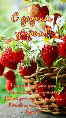 Открытка Доброе утро