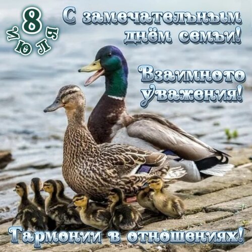 Открытка С замечательным днем сеемьи!