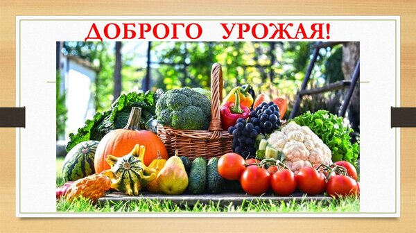 Открытка Доброго урожая
