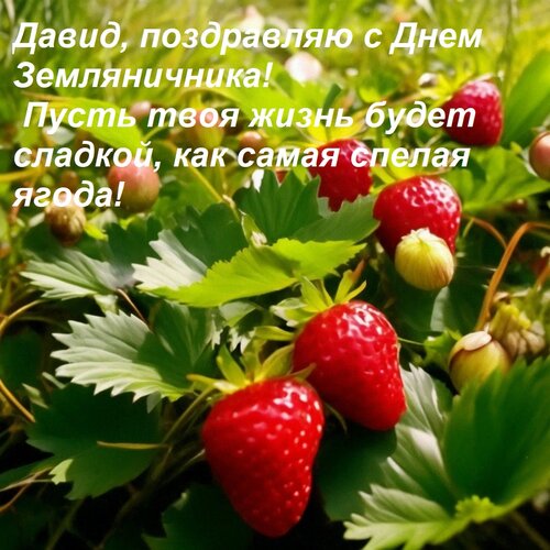 Открытка Давид, поздравляю с Днем Земляничника! Пусть твоя жизнь будет сладкой, как самая спелая ягода!