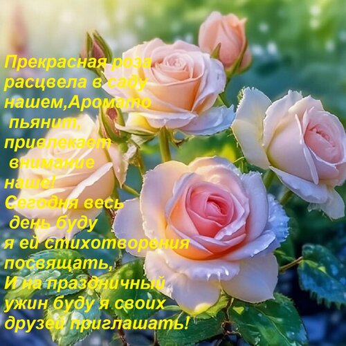 Открытка Прекрасная роза расцвела в саду нашем,Аромато пьянит, привлекает внимание наше! Сегодня весь день бу