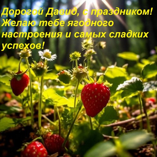 Открытка Дорогой Давид, с праздником! Желаю тебе ягодного настроения и самых сладких успехов!