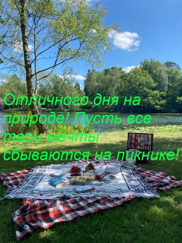 Открытка Пусть твой пикник будет незабываемым! Отличной компании и вкусных угощений!