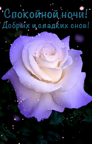 Анимированная открытка Спокойной ночи! Добрых и сладких снов!