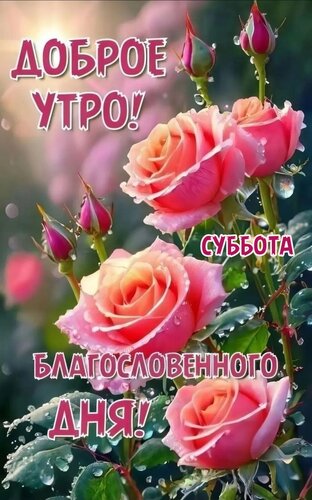 Открытка Доброе утро! Благословенного дня!