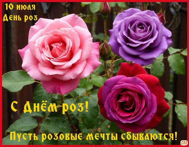 Открытка День роз 4