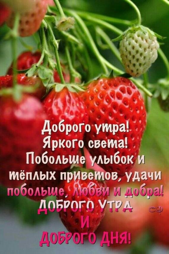 Открытка доброе утро