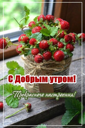Открытка доброе утро