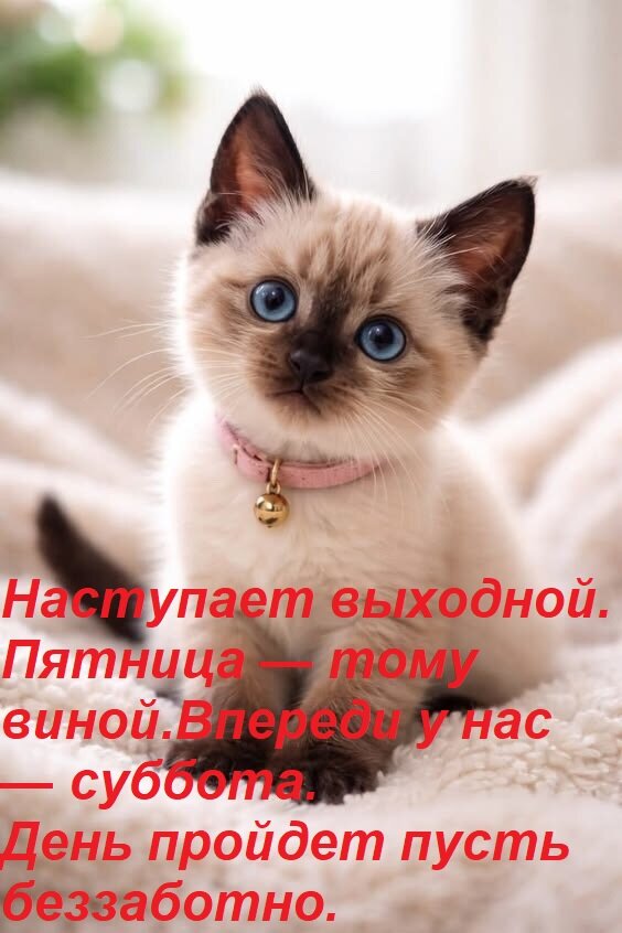 Открытка Наступает выходной. Пятница — тому виной. Впереди у нас — суббота. День пройдет пусть беззаботно.